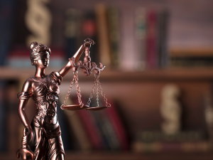 Developing junior lawyers
