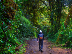 High-performing business athlete walking confidently — Business Athlete approach to sustainable leadership