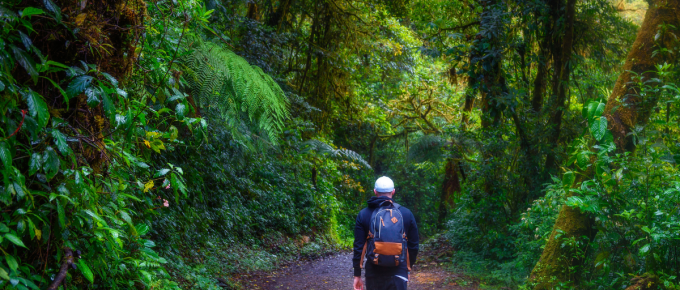 High-performing business athlete walking confidently — Business Athlete approach to sustainable leadership